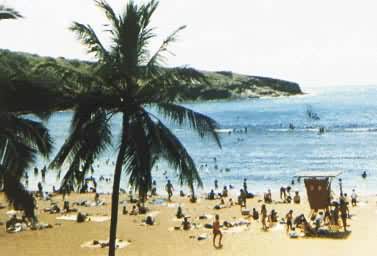 美国夏威夷火奴鲁鲁市的海滨游泳场