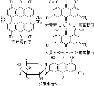 公式 符号