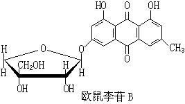 公式 符号