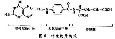 图6