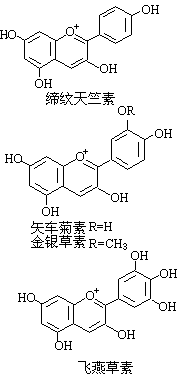 公式 符号