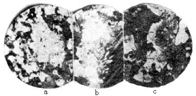 混合岩的显微镜下特征