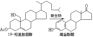 公式 符号