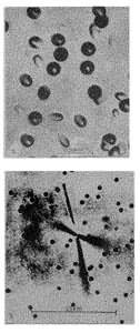 图1 用硅酸盐玻璃(a)和云母(b)记录裂变碎片径迹的显微照片