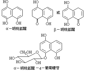 公式 符号