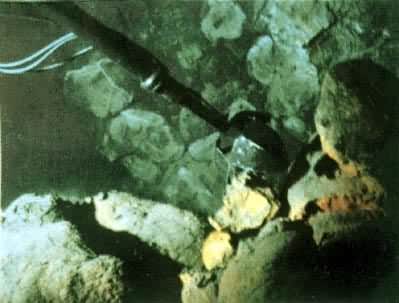 “西安纳”号潜水器在东太平洋海隆顶部裂缝边缘采样