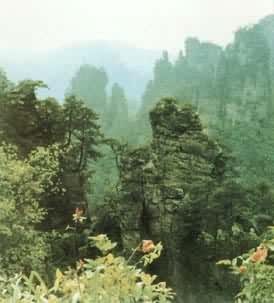 张家界国家森林公园