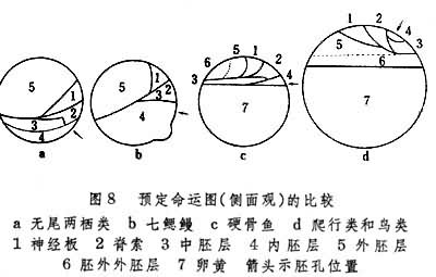 图8