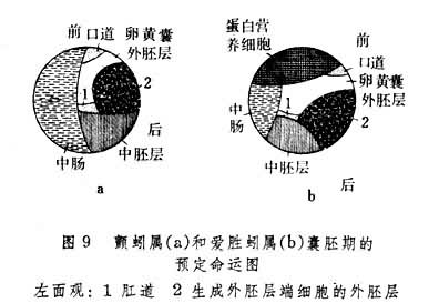 图9