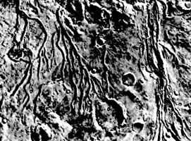 图5  火星上的河床