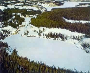 克卢恩森林保护区（加拿大）