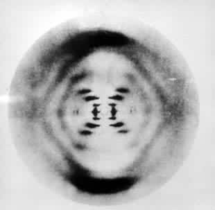 图4　B-DNA 分子的X射线纤维衍射照片