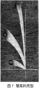 图7  彗尾的类型