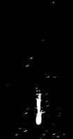 图9  莫尔豪斯彗星（1908Ⅲ）自上而下  10月13日