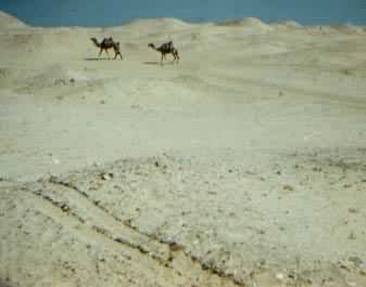 撒哈拉大沙漠