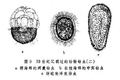 图9