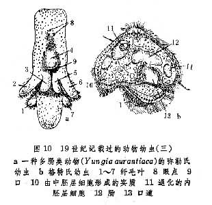 图10