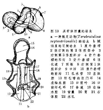 图13