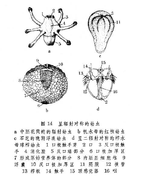 图14