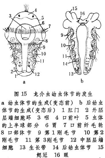 图15