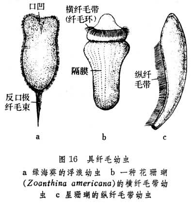 图16