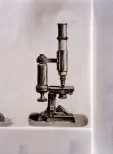 19世纪中期的显微镜