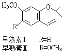 公式 符号