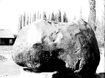 图 新疆铁陨石