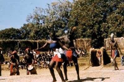 赞比亚洛兹族民间舞蹈