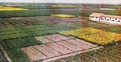 中国土壤类型　水稻土利用景观