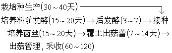 公式 符号