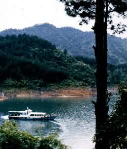 浙江千岛湖森林公园