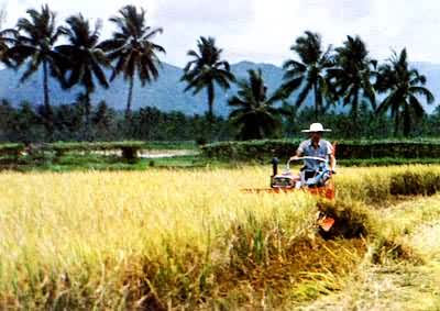 手扶拖拉机收割水稻