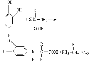 公式 符号