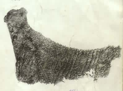 公元前4000年的葛纤维织物（江苏省吴县草鞋山出土　南京博物馆藏）