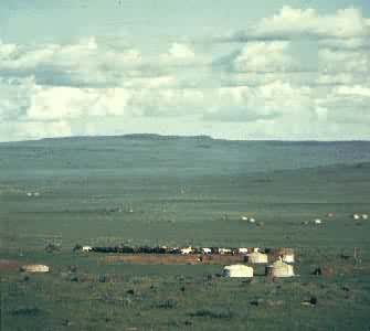 温带草原上畜群和蒙古包，是人们因地制宜创造出来的生存环境