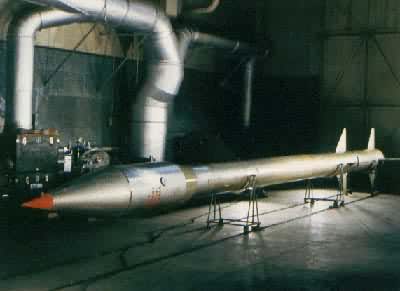 T-7A(S)生物火箭