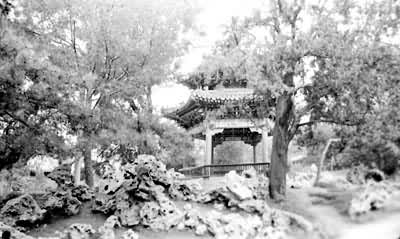 图2　北京中山公园“松柏交翠”亭处的散置手法