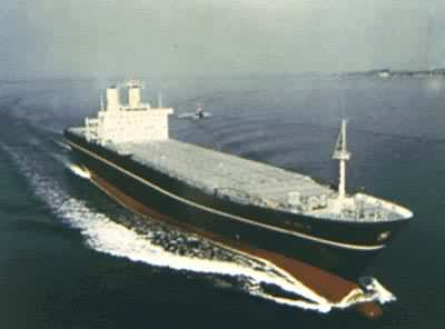 散货船，用于运输散装大宗货物的船舶