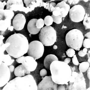 电子显微镜下的粉煤灰（1 000倍）