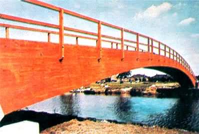 用环氧树脂胶粘接的人行木桥，跨度38m