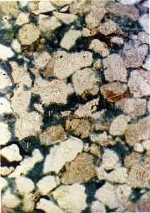 砂岩油层孔隙结构