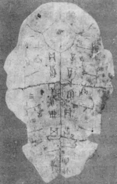 殷商时期的龟腹甲契刻文