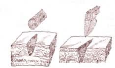 钝器伤（左）创壁间常有组织间桥；锐器伤（右）无