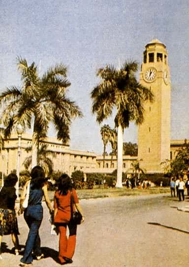 埃及开罗大学校园