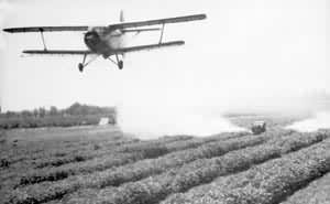 国营黄泛区农场棉田的空中施肥和地面治虫