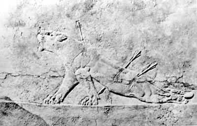 《垂死的牝狮》（公元前668～前626）