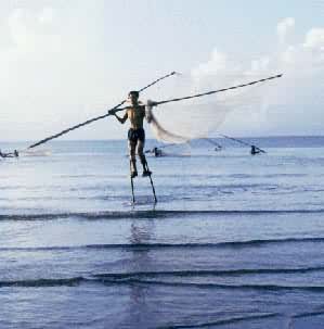 京族渔民踩高跷捕鱼