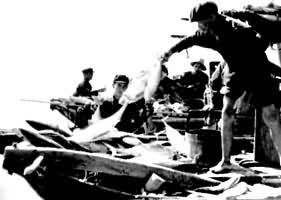 京族渔民在海上作业