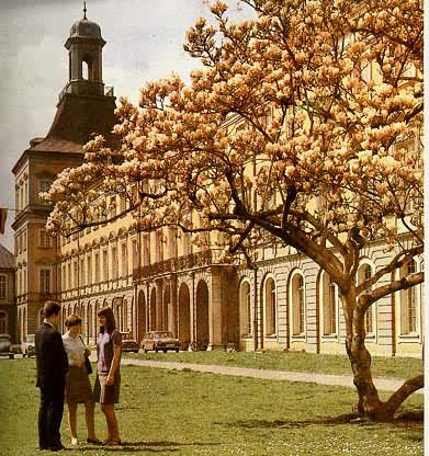 德意志联邦共和国波恩大学